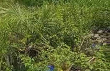 ABIDJAN COCODY : Vente terrain 660 m2 – Angré CHU