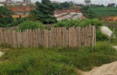 ABIDJAN BINGERVILLE : Vente terrain 511 m2