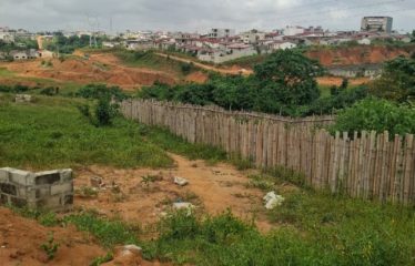 ABIDJAN BINGERVILLE : Vente terrain 511 m2