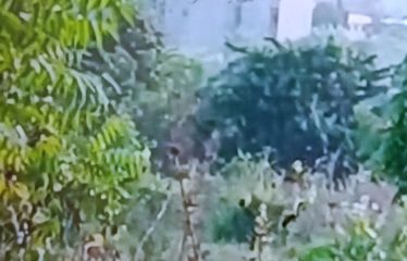 YAMOUSSOUKRO : Vente terrain 1133 m2