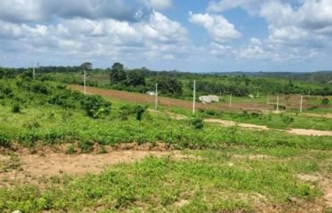 ABIDJAN SONGON : Vente terrain 8000 m2 – Site viabilisé en bloc