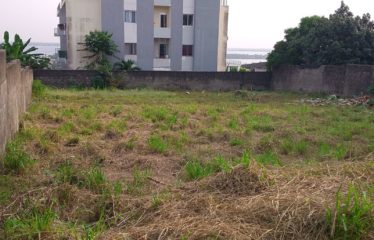 ABIDJAN COCODY : Vente terrain 1000 m2 avec vue lagunaire – ACD