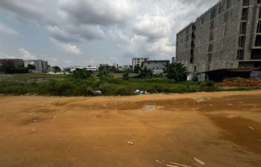 ABIDJAN ANGRÉ : Vente terrain 650 m2