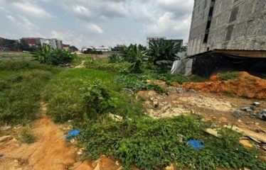 ABIDJAN ANGRÉ : Vente terrain 650 m2