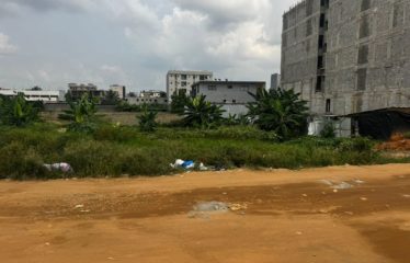 ABIDJAN ANGRÉ : Vente terrain 650 m2