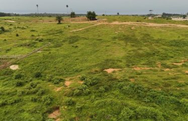 ABIDJAN ANYAMA : Vente terrain 2 hectares – Ebimpé