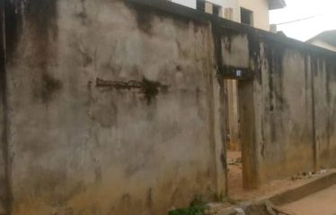 ABIDJAN COCODY : Vente terrain 550 m2