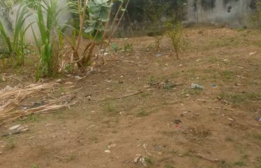 ABIDJAN COCODY : Vente terrain 550 m2