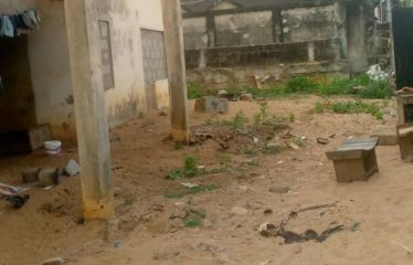 ABIDJAN COCODY : Vente terrain 550 m2