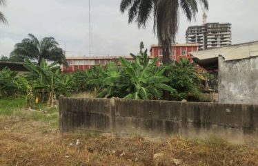 ABIDJAN COCODY : Vente terrain 1000 m2 – ACD