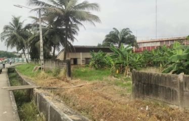 ABIDJAN COCODY : Vente terrain 1000 m2 – ACD
