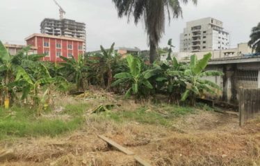 ABIDJAN COCODY : Vente terrain 1000 m2 – ACD