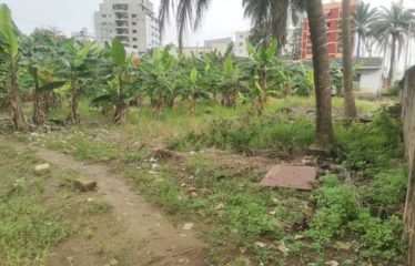 ABIDJAN COCODY : Vente terrain 1000 m2 – ACD