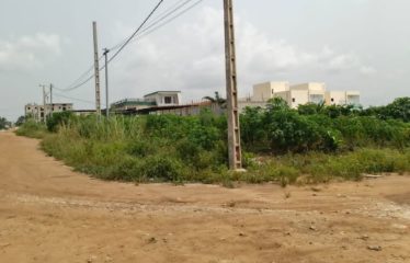 ABIDJAN BINGERVILLE : Vente terrain 689 m2