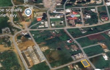 ABIDJAN BINGERVILLE : Vente terrain 689 m2