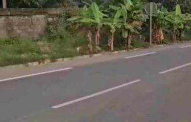 ABIDJAN COCODY : Vente terrains 400 m2