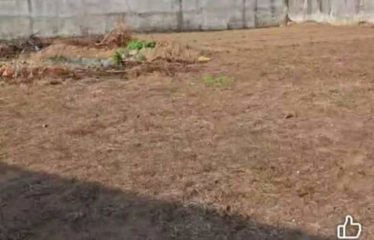 ABIDJAN COCODY : Vente terrain 1700 m2