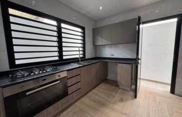 ASSINIE : Vente 2 villas jumelées