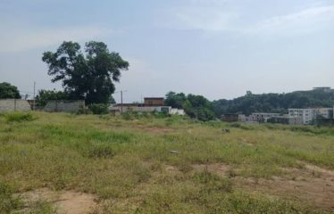 ABIDJAN COCODY : Vente terrain 2600 m2 – ACD