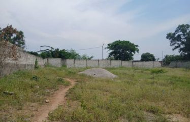 ABIDJAN COCODY : Vente terrain 2600 m2 – ACD