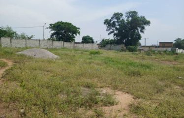 ABIDJAN COCODY : Vente terrain 2600 m2 – ACD