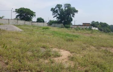 ABIDJAN COCODY : Vente terrain 2600 m2 – ACD