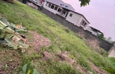 ABIDJAN COCODY : Vente terrain 670 m2