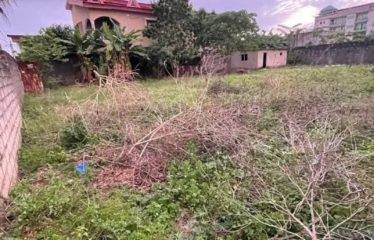 ABIDJAN COCODY : Vente terrain 670 m2