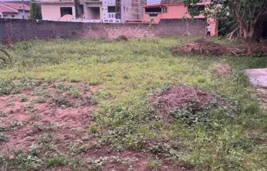 ABIDJAN COCODY : Vente terrain 670 m2