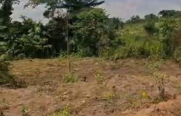 ABIDJAN ANGRÉ : Vente terrain de 1800 m2