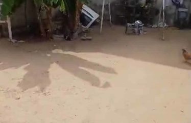 ABIDJAN COCODY: Land for sale, 350m², in Riviera 4