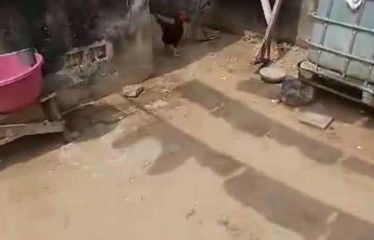 ABIDJAN COCODY: Land for sale, 350m², in Riviera 4