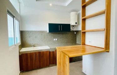 ABIDJAN PLATEAU : Location appartement