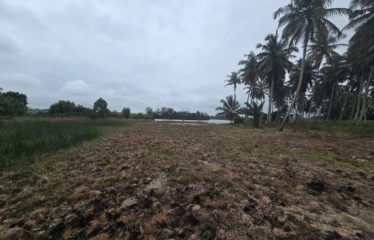 ASSINIE: Land for sale, 1506 m2 – Lagoon view