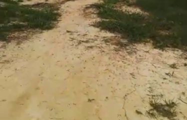 GRAND-BASSAM: 1200m² plot of land for sale