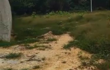 GRAND-BASSAM: 1200m² plot of land for sale