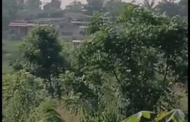 TIASSALÉ: 500 m² plot of land for sale – N'Douci