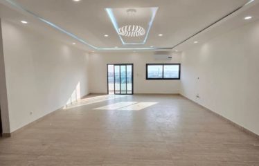 ABIDJAN COCODY: Penthouse apartment rental