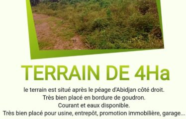 SIKENSI: Land for sale, 1 hectare