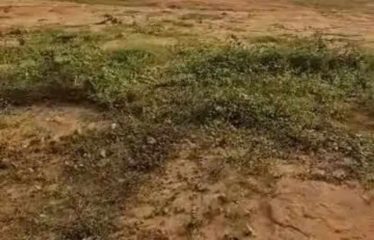 ABIDJAN BINGERVILLE: Land for sale, 2000 m2