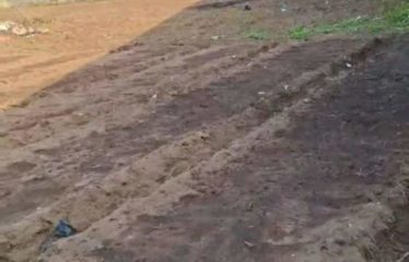 ANBIDJAN COCODY : Terrain de 1 700 m² avec ACD en vente