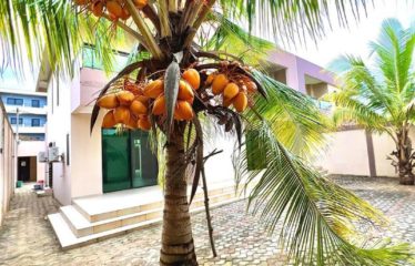 GRAND-BASSAM : Vente villa duplex 6 pièces – Mockey-Ville