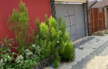 ABIDJAN ANGRÉ : Vente terrain en vente 300 m2