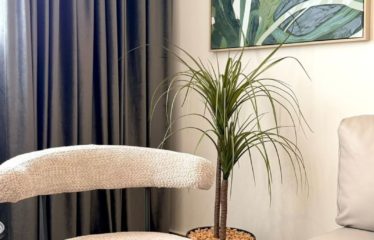 ABIDJAN MARCORY : Appartement meublé à louer