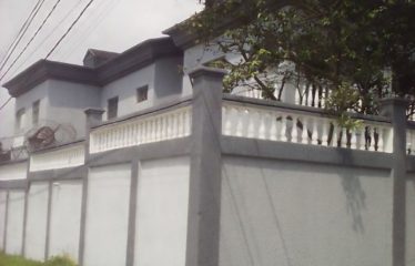 ABIDJAN ANGRÉ: 10-room duplex villa for rent