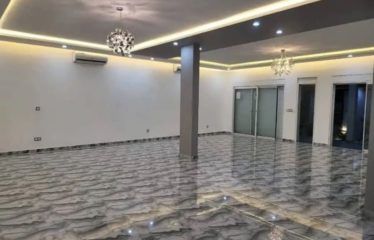 GRAND-BASSAM: 8-room duplex villa for sale