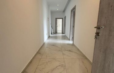 ABIDJAN MARCORY : Appartement a louer