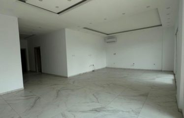 ABIDJAN MARCORY : Appartement a louer