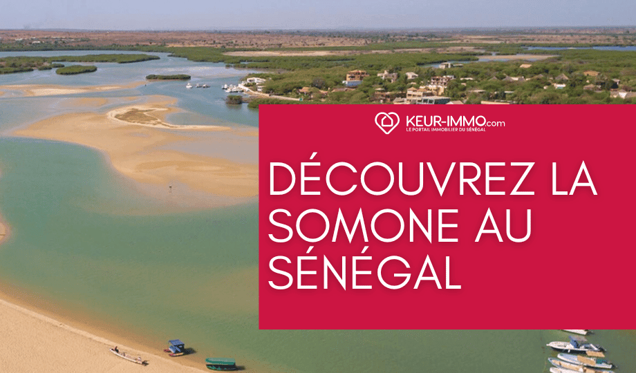 Découvrez la Somone