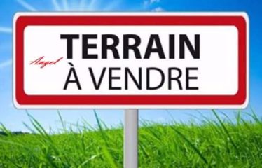 DIAMNIADIO : Terrain de 4700 m² à vendre